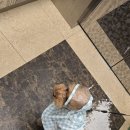 비옷 입은 하루.학운천 공사? 이미지