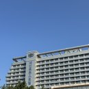 알까네 펫드라이브 | 세인트존스 부분오션 뷰(골져스파셜오션트윈)숙박후기 근처 현지맛집 추천,정남미명과 본점,순두부...