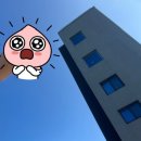 에스에스(SS) 이미지