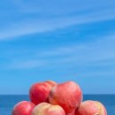 영덕상회 이미지