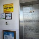 지하철역사 (월평역) | 점집 임채원 작명소 대전 대전 서구 갈마동가격 주소 위치 운영시간 후기추천