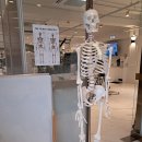 유휘트니스 이미지