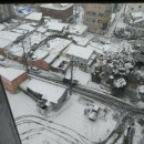 닥터조제통외과의원 이미지