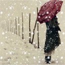 "이혼 후 첫사랑"이 대부분 깨지는 이유가 있더라. 이미지