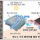 햇빛전자 이미지