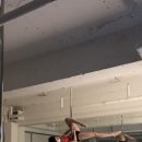 야간) 댄스스포츠(심화) | 폴댄스 고급심화 베트윙변형 pdbatwingvariation