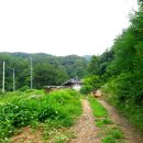 팔공산왕건길 4코스 이미지