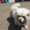 산천가든 이미지