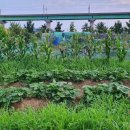 득성농장 이미지