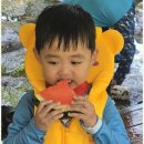 천마태권도장 이미지