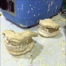 엠치과의원 이미지