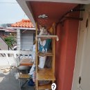 옥탑방 이야기 - <b>강아지</b><b>왕국</b>vs고양이<b>왕국</b> 그 첨예한 대립