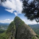 진안읍사무소 이미지