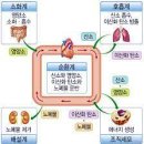 생명과학에너지