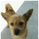 산들초등학교 이미지