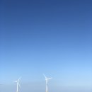 제주여행디자인 네이버블로그