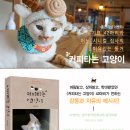 커피타는 고양이 이미지