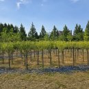 쌍암동산 이미지