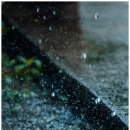 가랑비