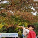 산본 문화의 거리 이미지