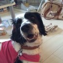 관동목장 이미지