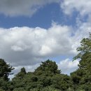 국수한그릇 | 제주 현지인 맛집 인정받은 모던돔베 공항본점, 고기국수 한 그릇 솔직후기