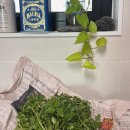 혜린농장 이미지