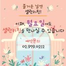 셀란키친 네이버블로그