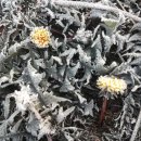 들풀농장 이미지