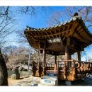 조삼모아 이미지