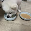 백제미용타운 | 우당탕탕 2월 이야기