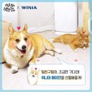 위니아서 이미지