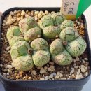 우근농장 이미지