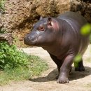 안하마을 이미지