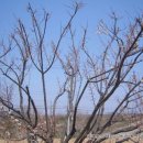 해오름가든 이미지