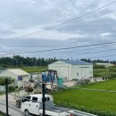 더메모리,해피 이미지