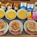 판포레스트 이미지