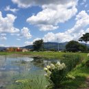 연꽃방죽체육공원 이미지