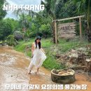 화룡농장 | 나트랑 무이네 관광지 명소 용과농장 요정의샘