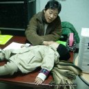 섬진다원 이미지