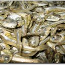 순진축산 이미지