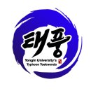 용인대태풍태권도장 이미지