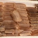 홍도수산 이미지