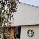 그냥좋은카페 | 부산 기장 임랑원 스타벅스 오션뷰 카페｜아이랑 가기 좋은 잔디 카페 후기