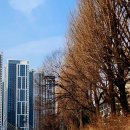 충훈2교 옆 | 🚲 자전거 마실라이딩_자전거족이 사랑하는 대표 코스, 하트 코스 70Km
