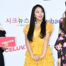채영 카카오 검색결과