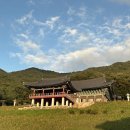 꽃무릇 | 부산광역시 사상구 운수사 (꽃무릇) 방문 후기