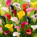 LED플라워 화분 제작 이미지