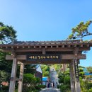 포토시그니처구룡포점 | 포항여행코스 가볼만한곳 <구룡포 일본인가옥거리> 동백꽃필무렵촬영지