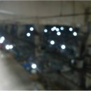 동작충효길 4코스 노량진길 이미지